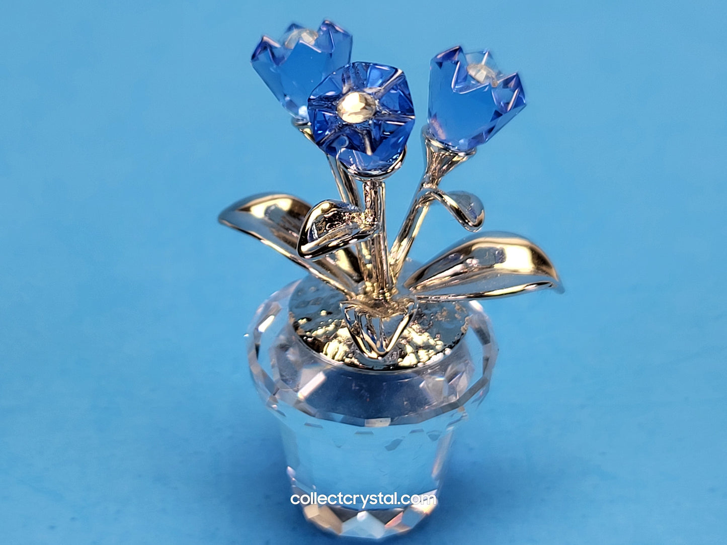 MEMORIES – FORGET-ME-NOTS / FORGET ME NOTS 626873