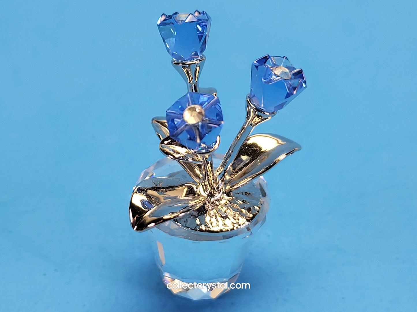 MEMORIES – FORGET-ME-NOTS / FORGET ME NOTS 626873