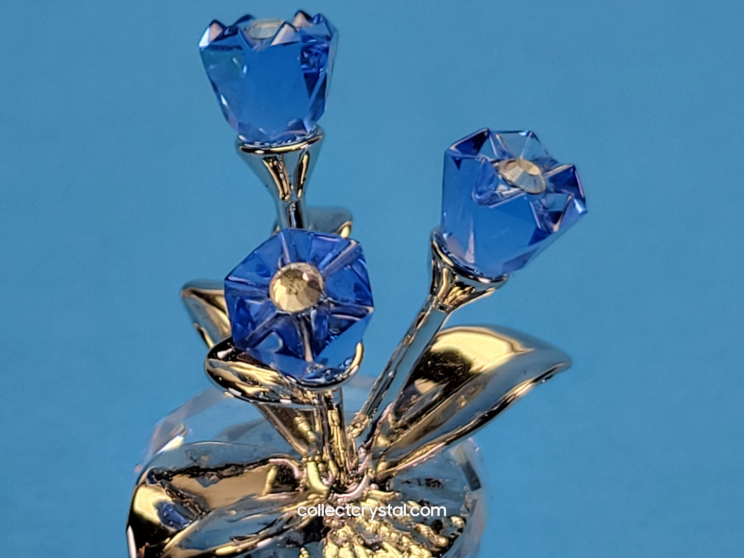MEMORIES – FORGET-ME-NOTS / FORGET ME NOTS 626873