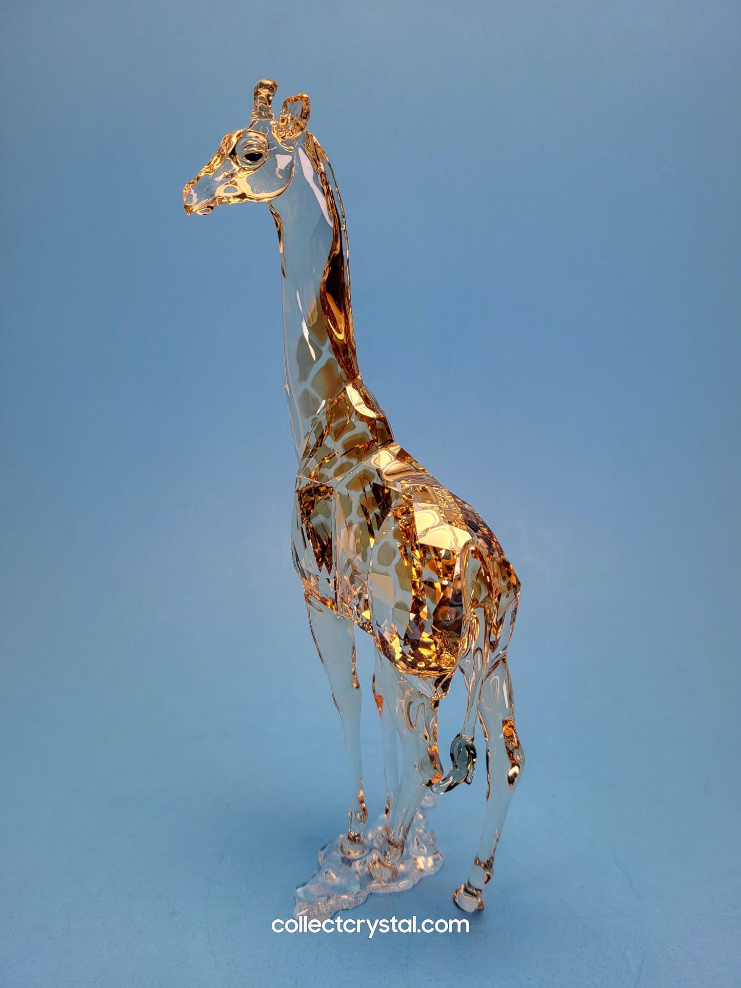 MUDIWA GIRAFFE 2018 Annual Edition 5301550 giraffe