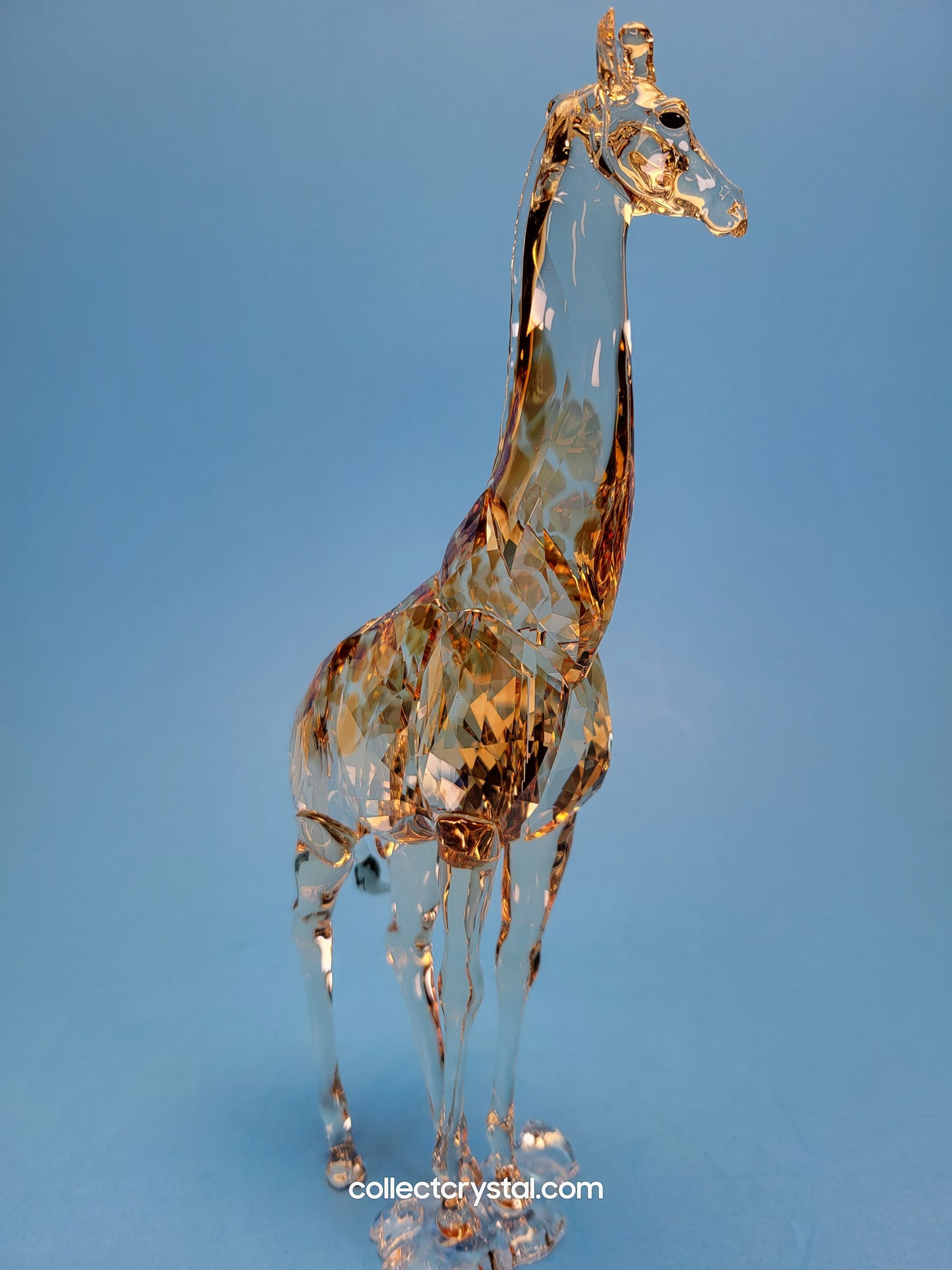 MUDIWA GIRAFFE 2018 Annual Edition 5301550 giraffe