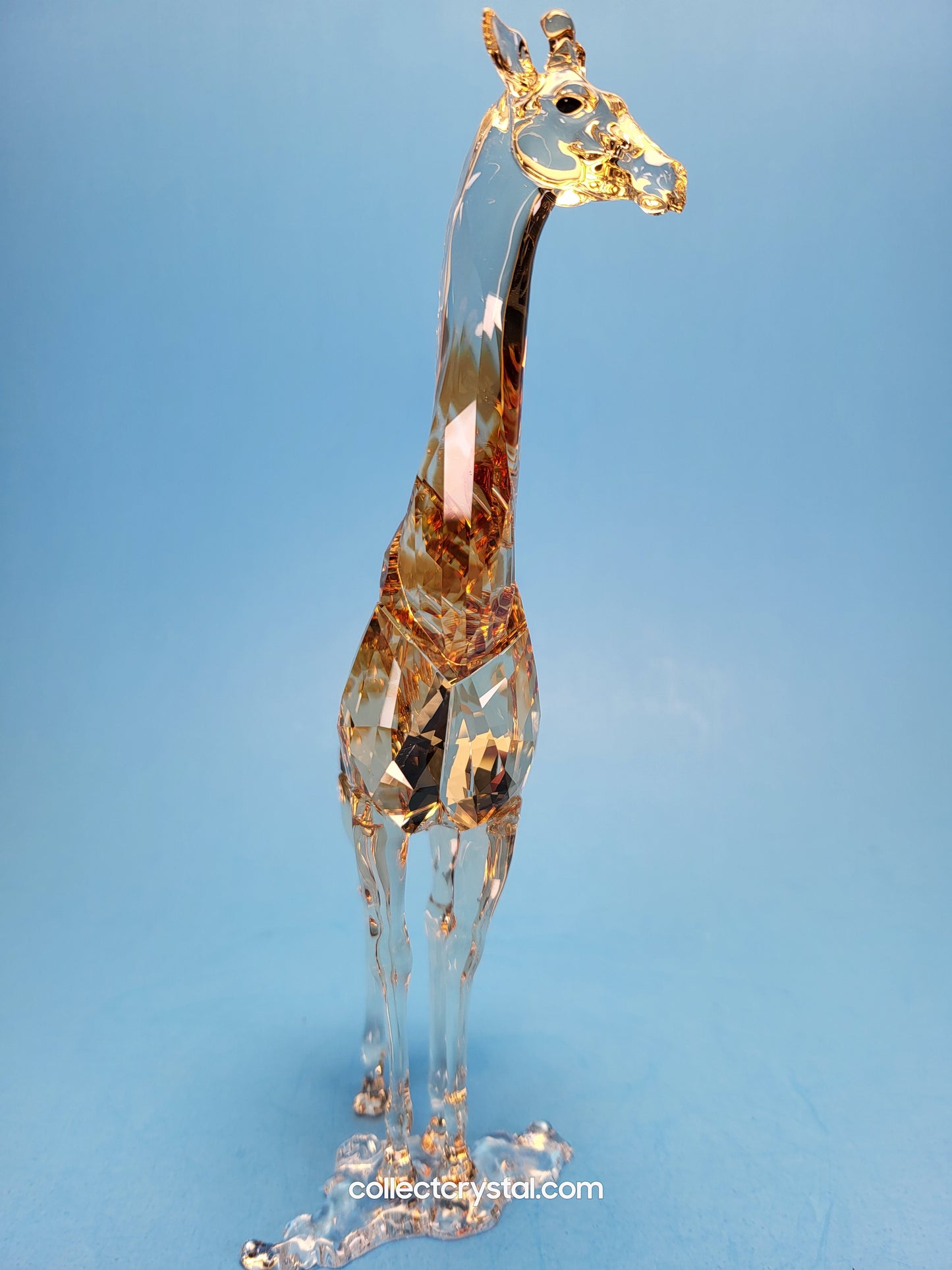 MUDIWA GIRAFFE 2018 Annual Edition 5301550 giraffe