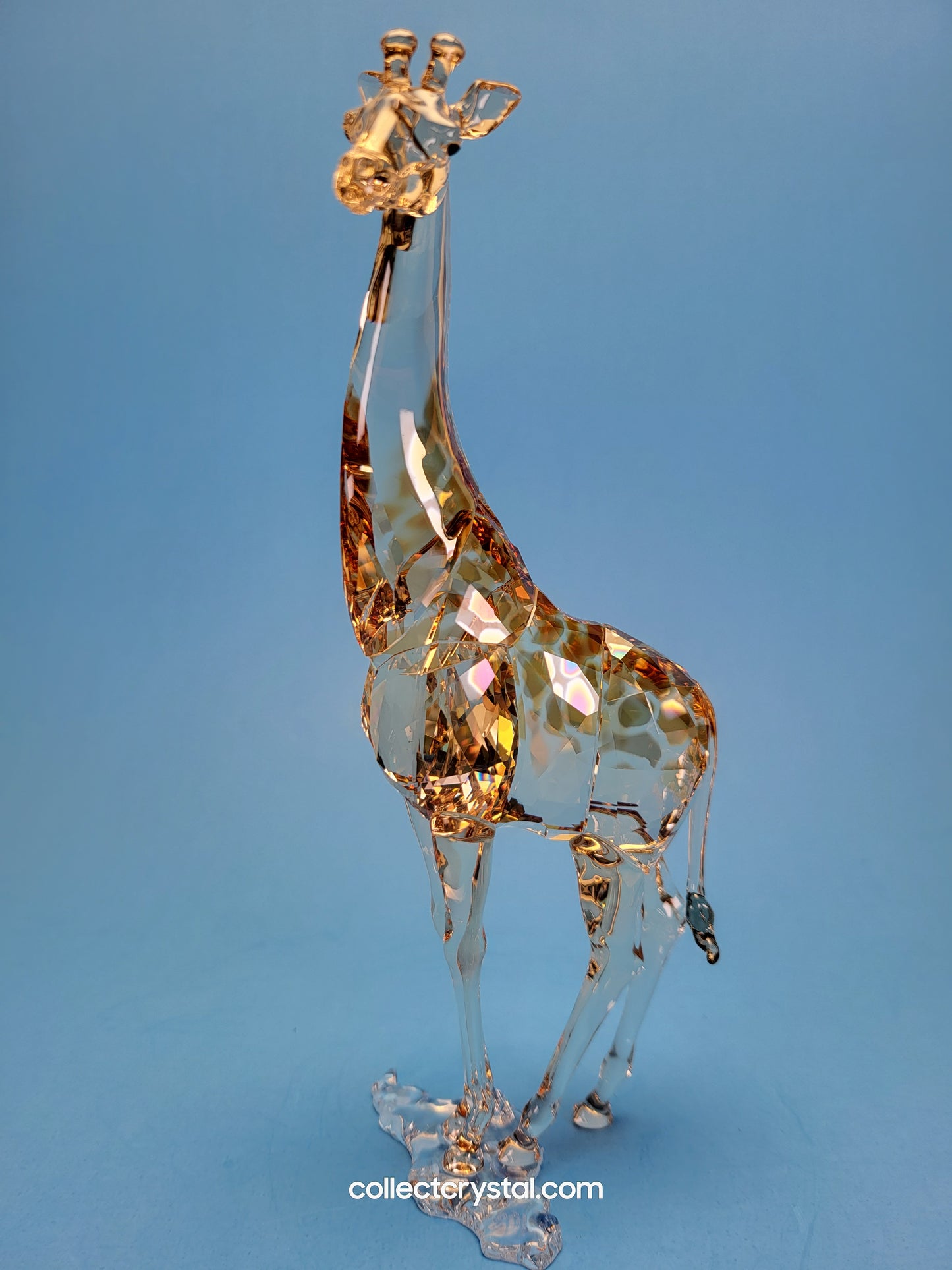 MUDIWA GIRAFFE 2018 Annual Edition 5301550 giraffe