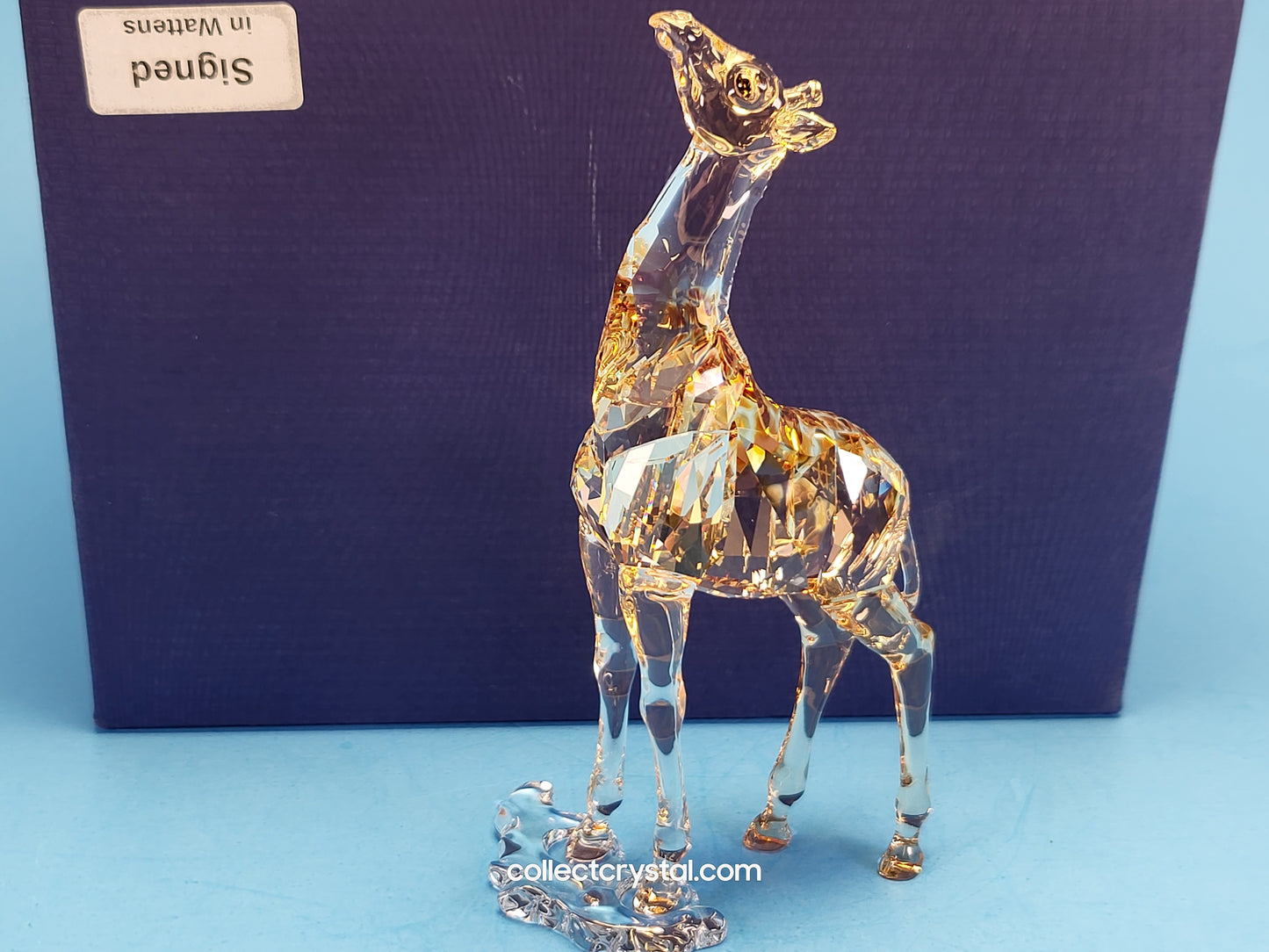 MUDIWA GIRAFFE Companion Baby 2018 Annual Edition 530215 giraffe
