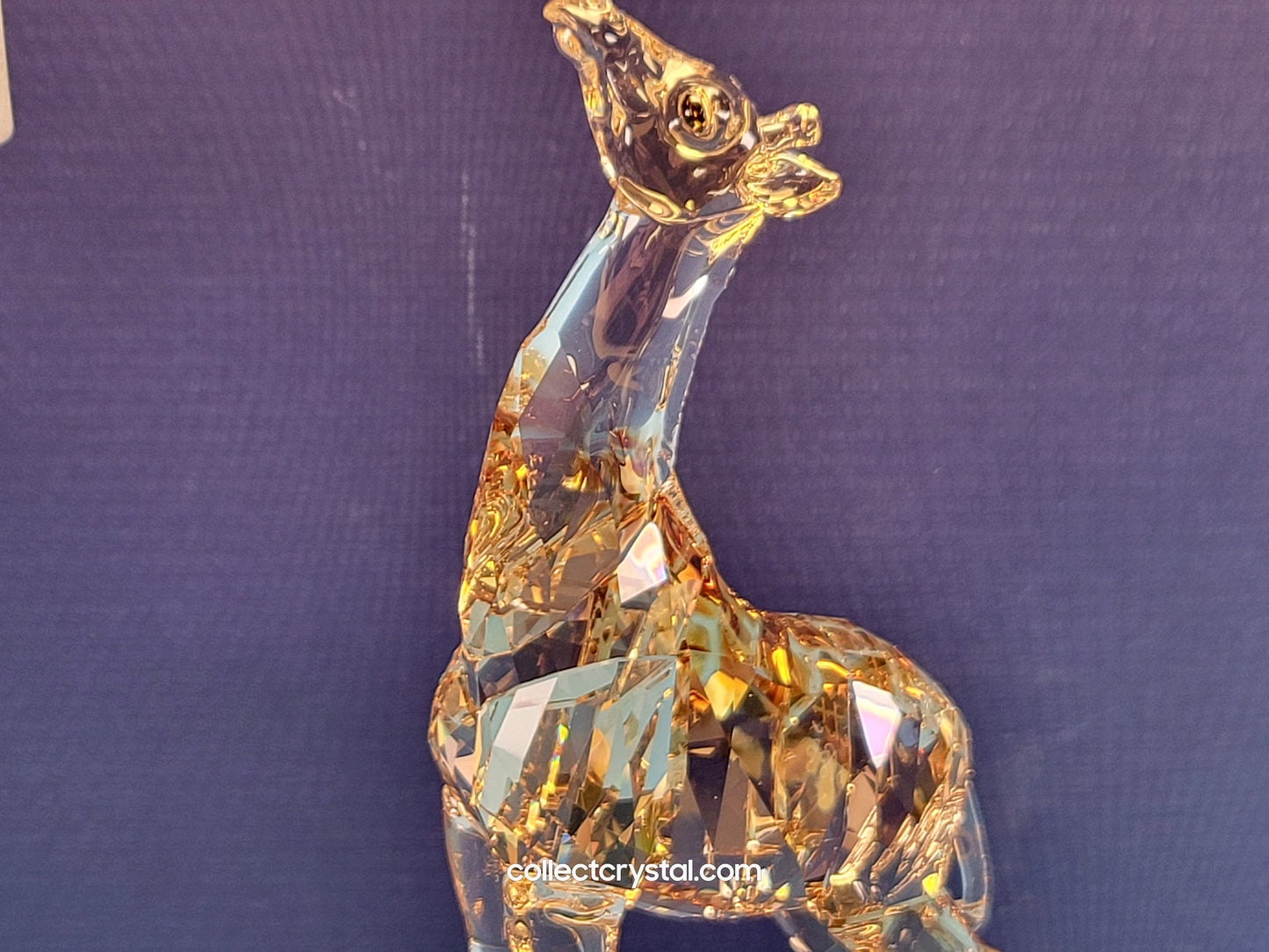 MUDIWA GIRAFFE Companion Baby 2018 Annual Edition 530215 giraffe