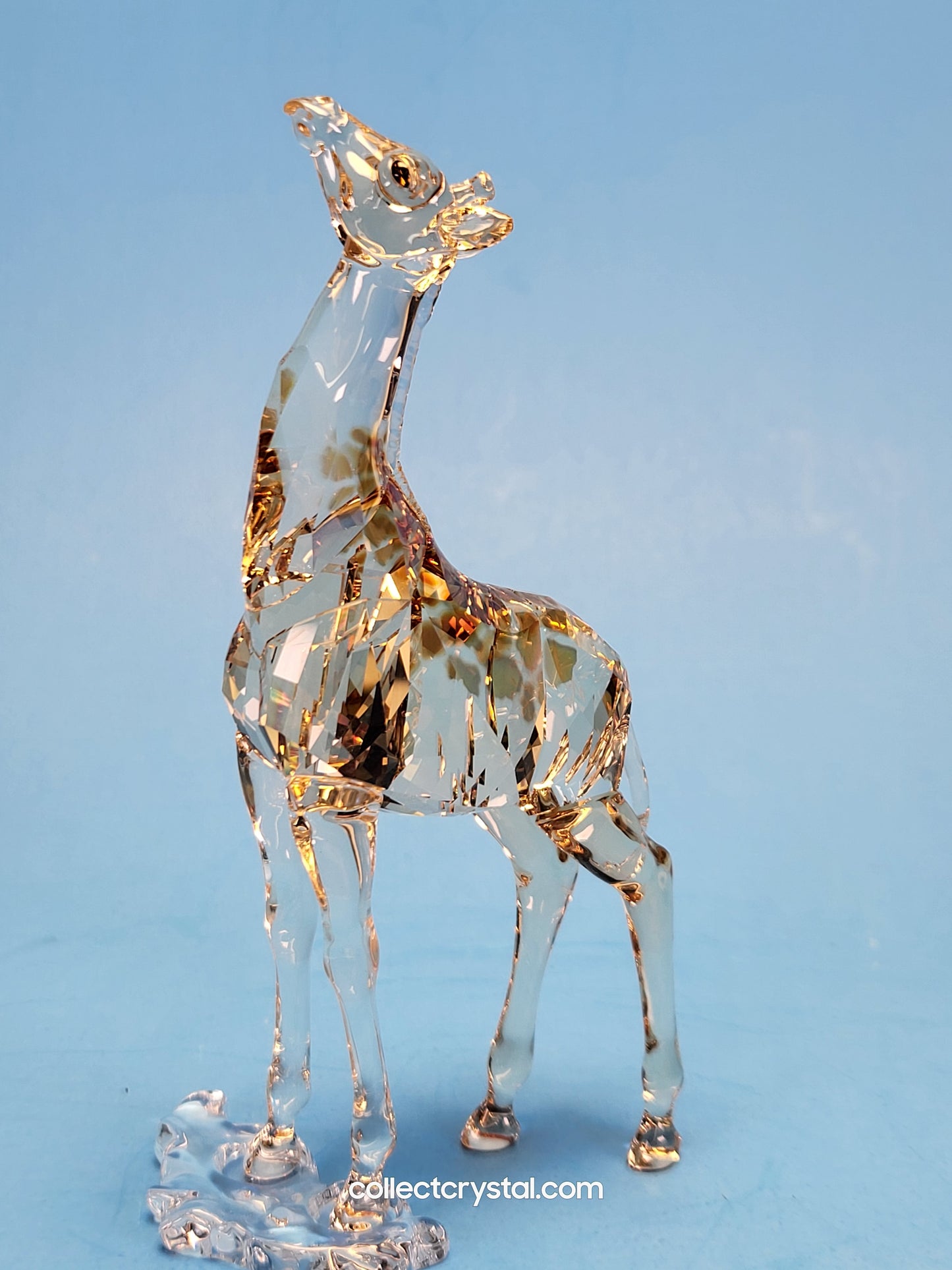 MUDIWA GIRAFFE Companion Baby 2018 Annual Edition 530215 giraffe