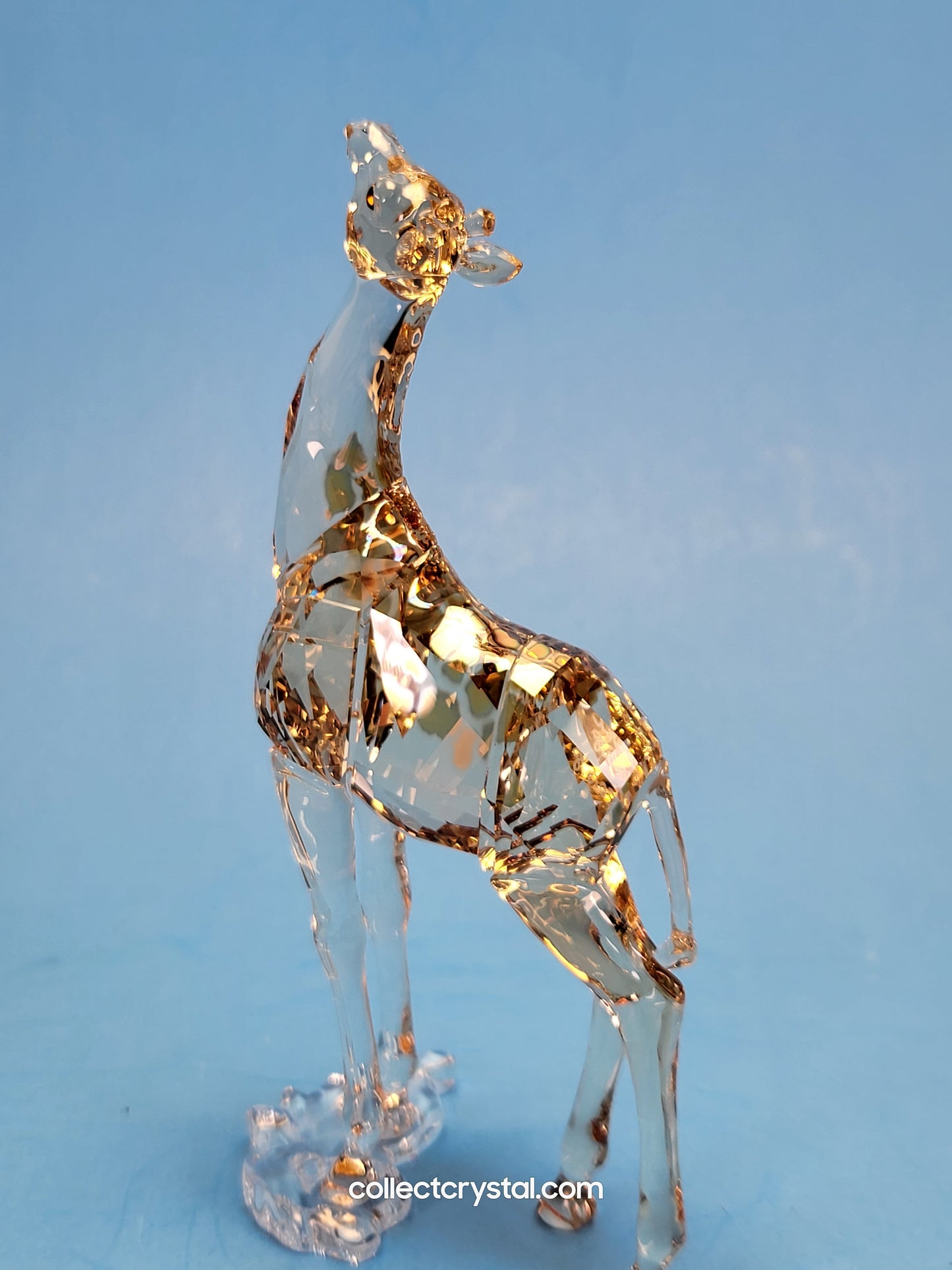 MUDIWA GIRAFFE Companion Baby 2018 Annual Edition 530215 giraffe