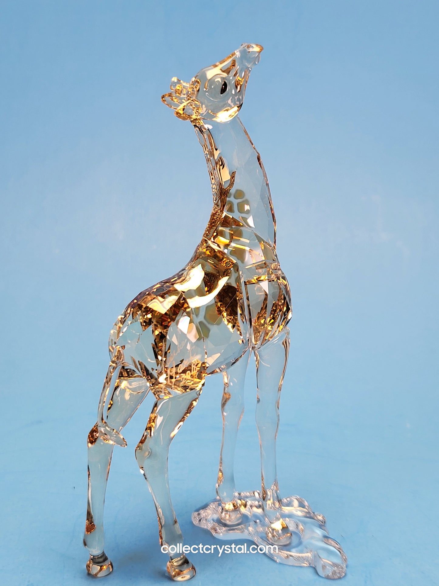 MUDIWA GIRAFFE Companion Baby 2018 Annual Edition 530215 giraffe