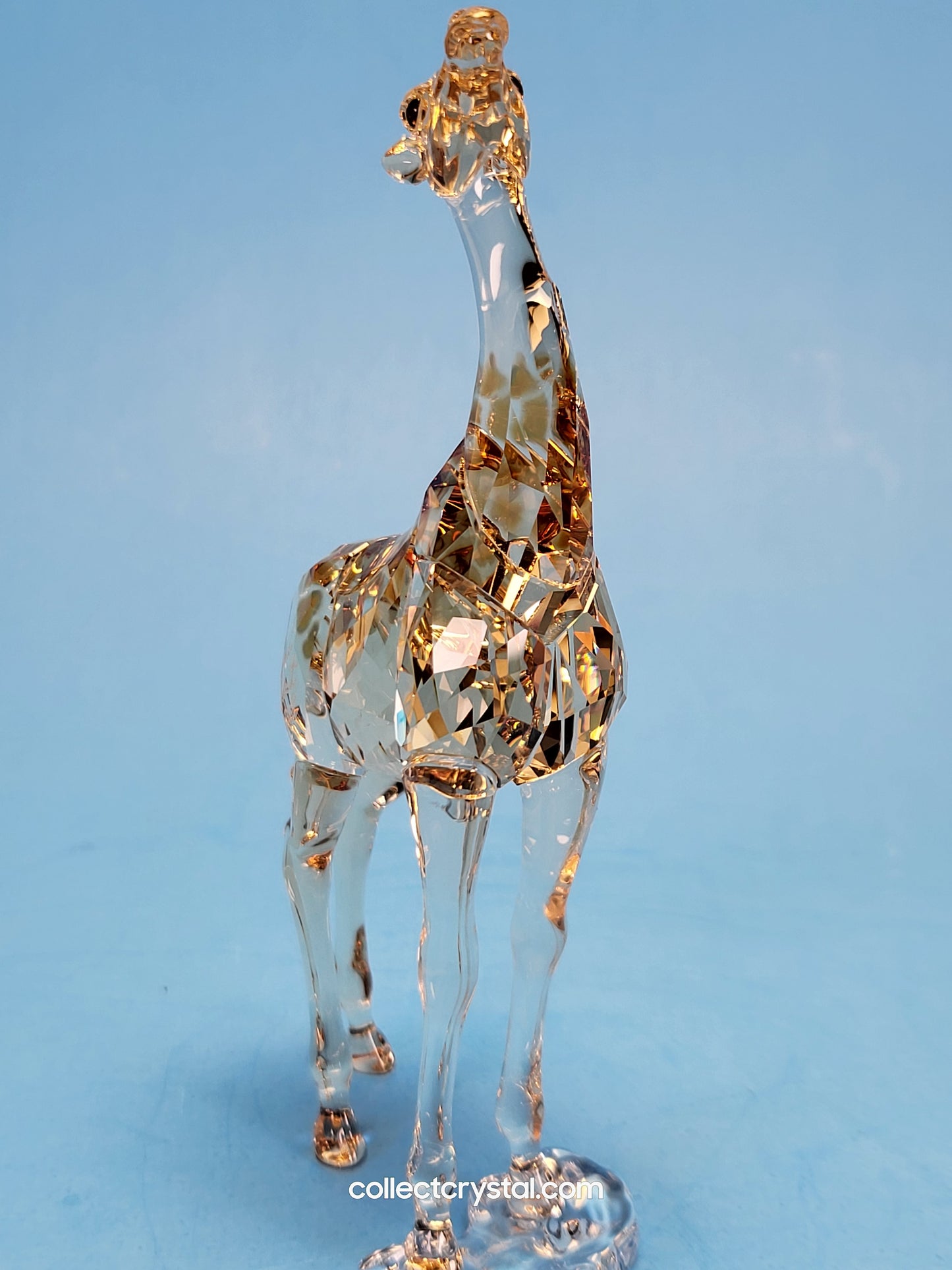 MUDIWA GIRAFFE Companion Baby 2018 Annual Edition 530215 giraffe