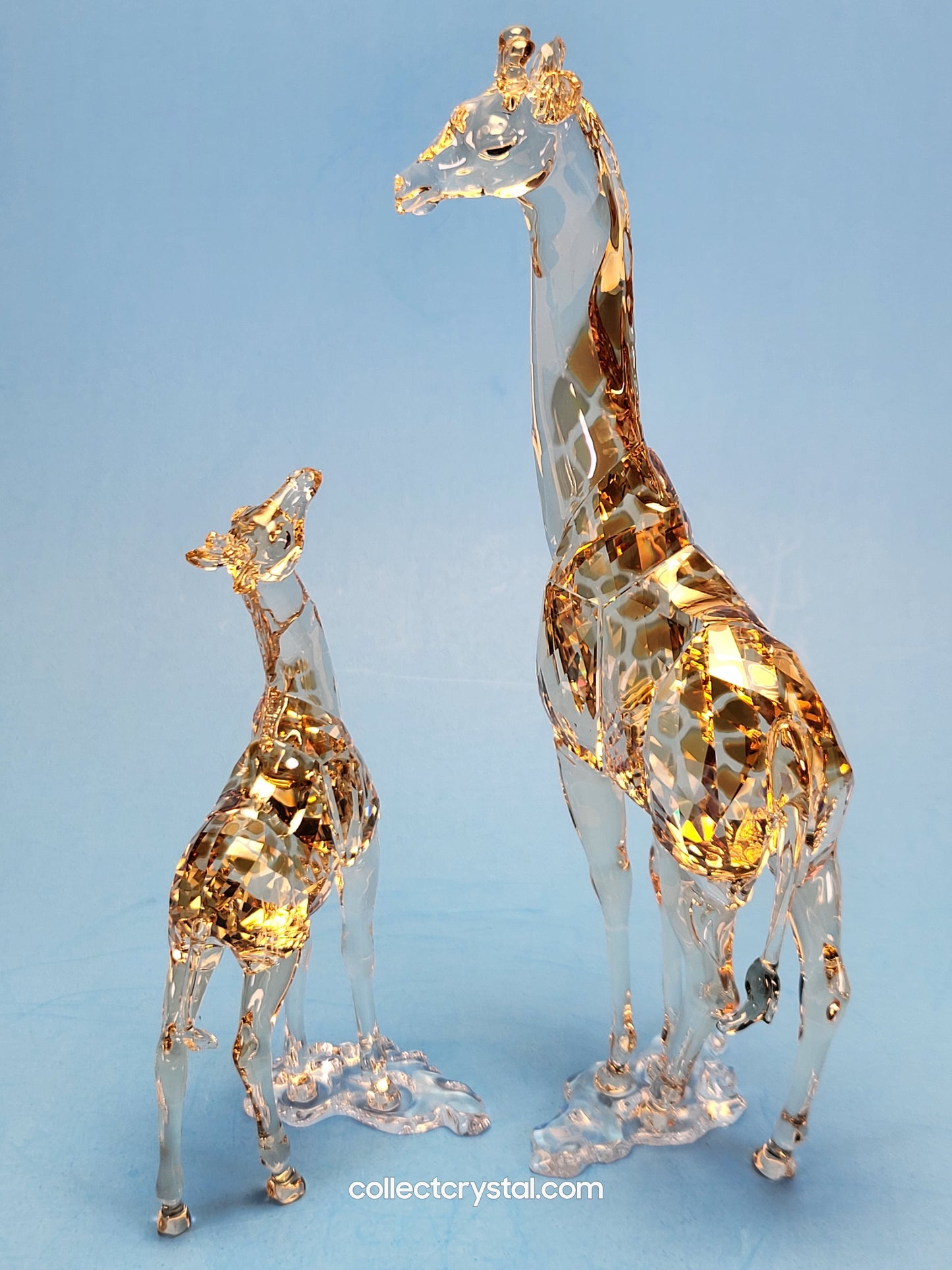MUDIWA GIRAFFE Companion Baby 2018 Annual Edition 530215 giraffe
