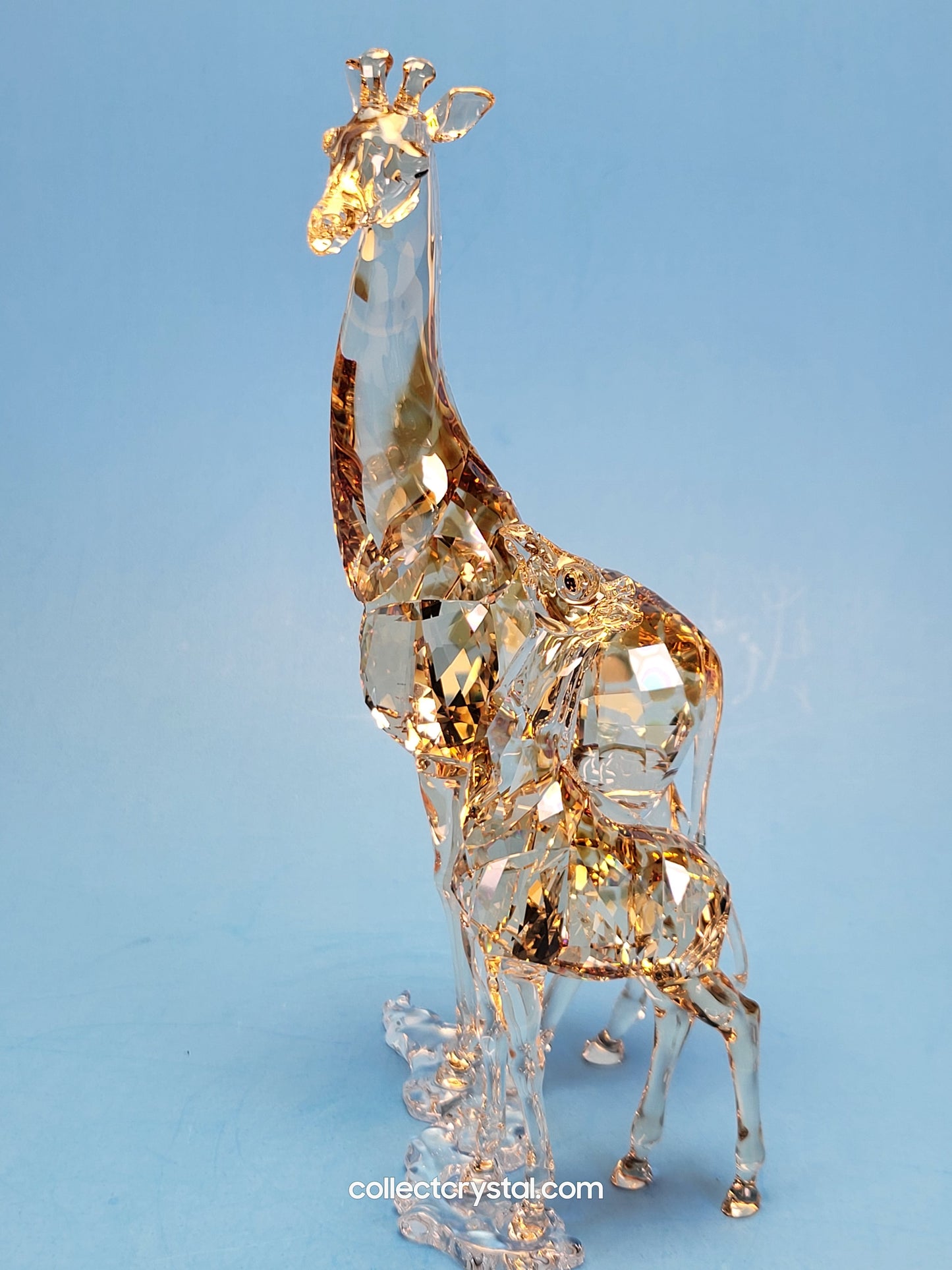 MUDIWA GIRAFFE 2018 Annual Edition 5301550 giraffe