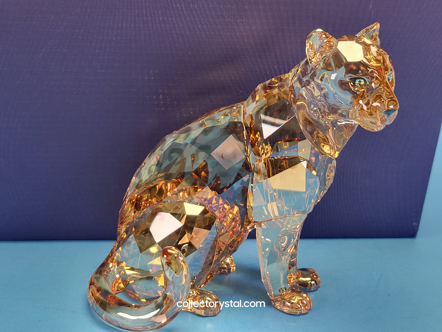 AMUR LEOPARD Mother Sofia 5428542 2019 ANNUAL EDITION amur