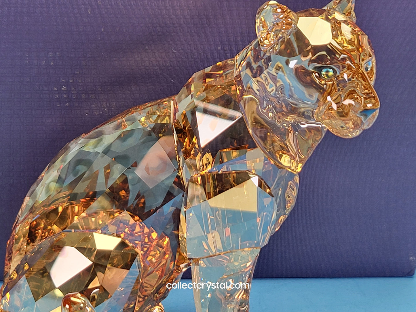 AMUR LEOPARD Mother Sofia 5428542 2019 ANNUAL EDITION amur