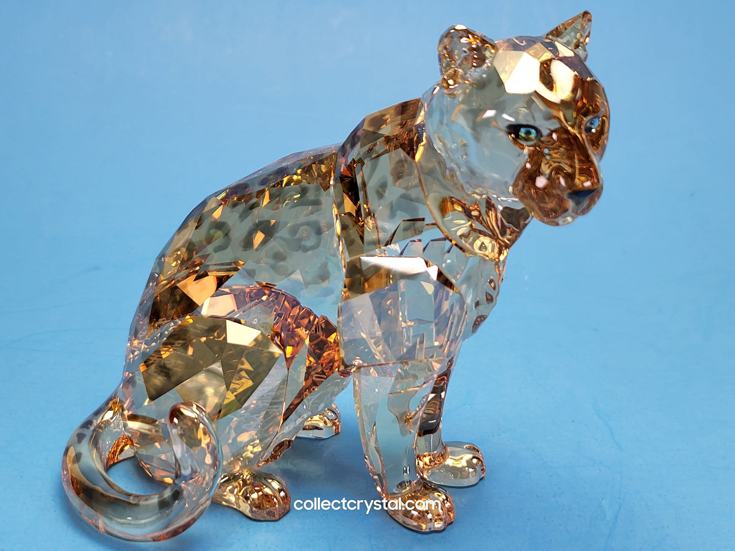 AMUR LEOPARD Mother Sofia 5428542 2019 ANNUAL EDITION amur