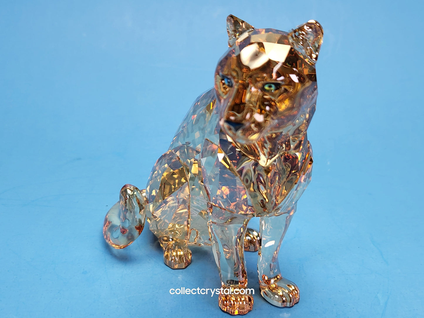 AMUR LEOPARD Mother Sofia 5428542 2019 ANNUAL EDITION amur