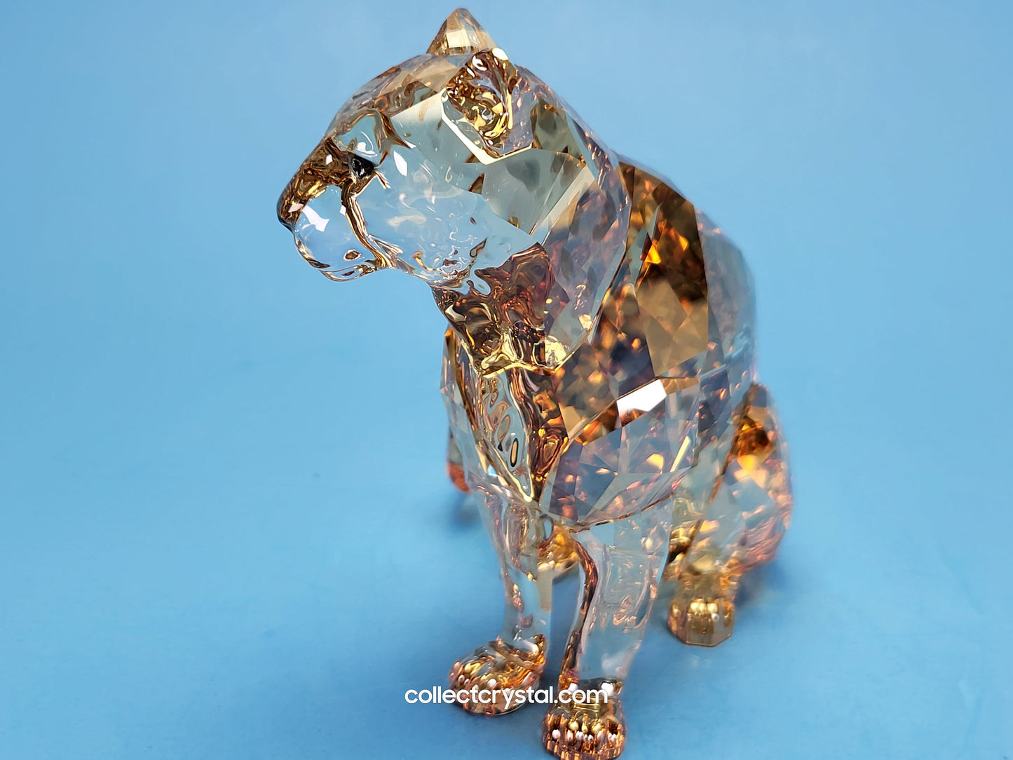 AMUR LEOPARD Mother Sofia 5428542 2019 ANNUAL EDITION amur