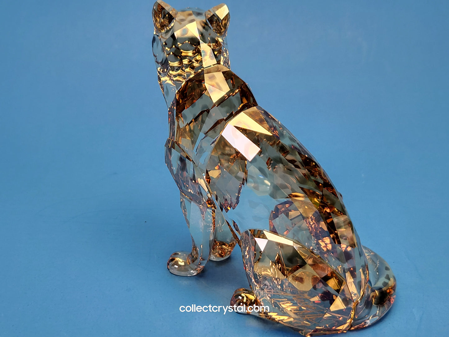AMUR LEOPARD Mother Sofia & Cubs 5428542 2019 ANNUAL EDITION Signed by Designer amur
