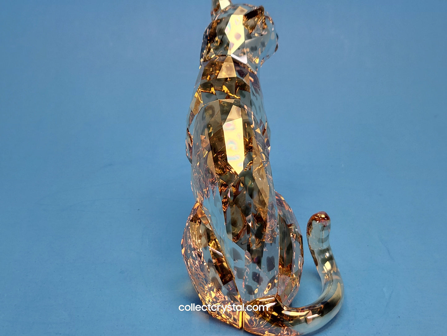 AMUR LEOPARD Mother Sofia 5428542 2019 ANNUAL EDITION amur