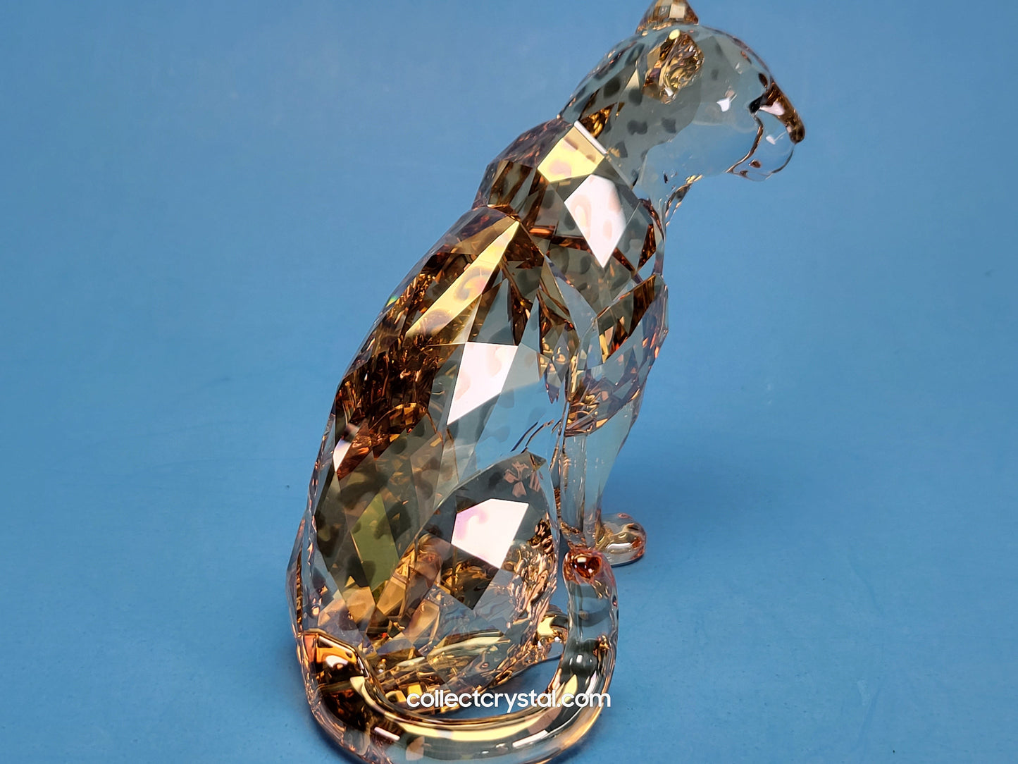 AMUR LEOPARD Mother Sofia 5428542 2019 ANNUAL EDITION amur