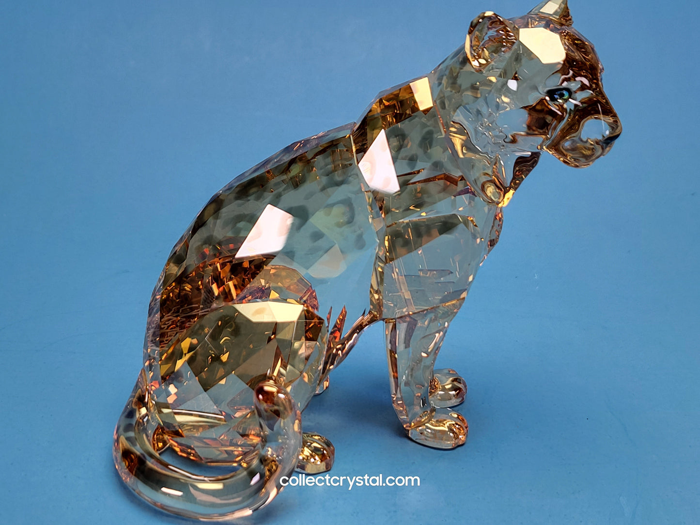 AMUR LEOPARD Mother Sofia 5428542 2019 ANNUAL EDITION amur