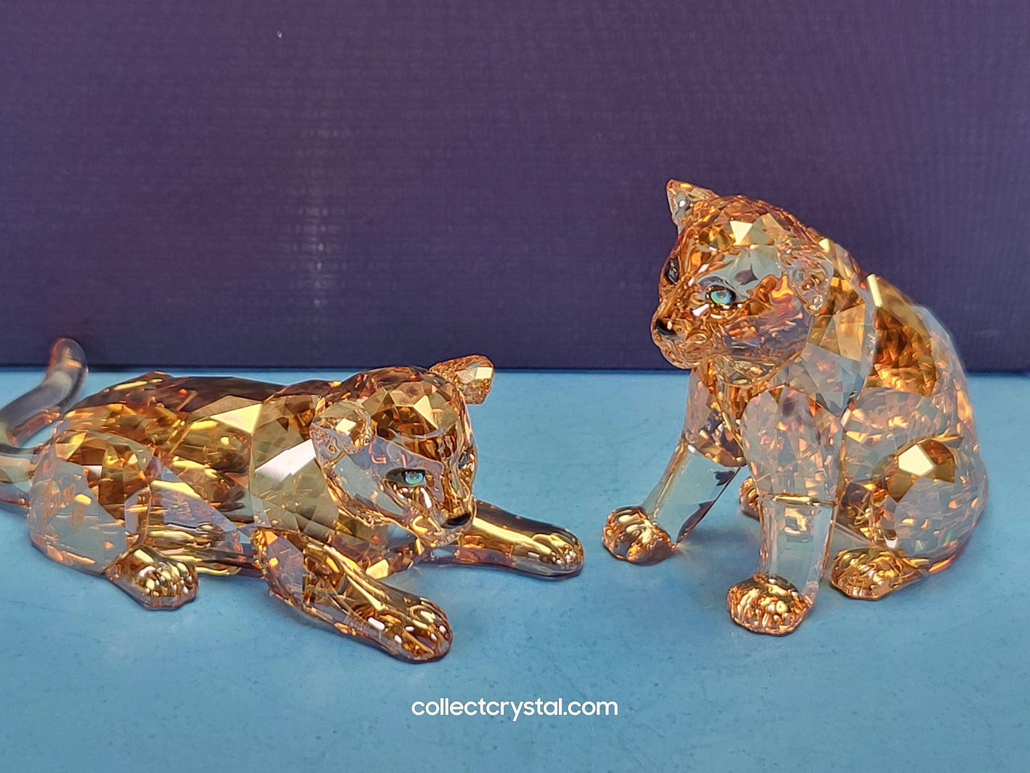 AMUR LEOPARD Mother Sofia & Cubs 5428542 2019 ANNUAL EDITION Signed by Designer amur