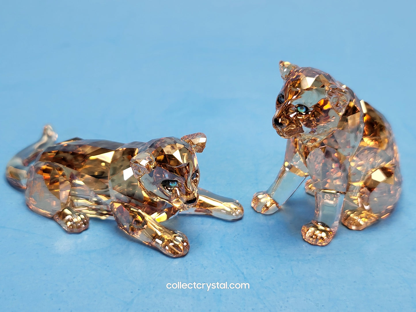 AMUR LEOPARD CUBS 5428542 2019 ANNUAL EDITION amur