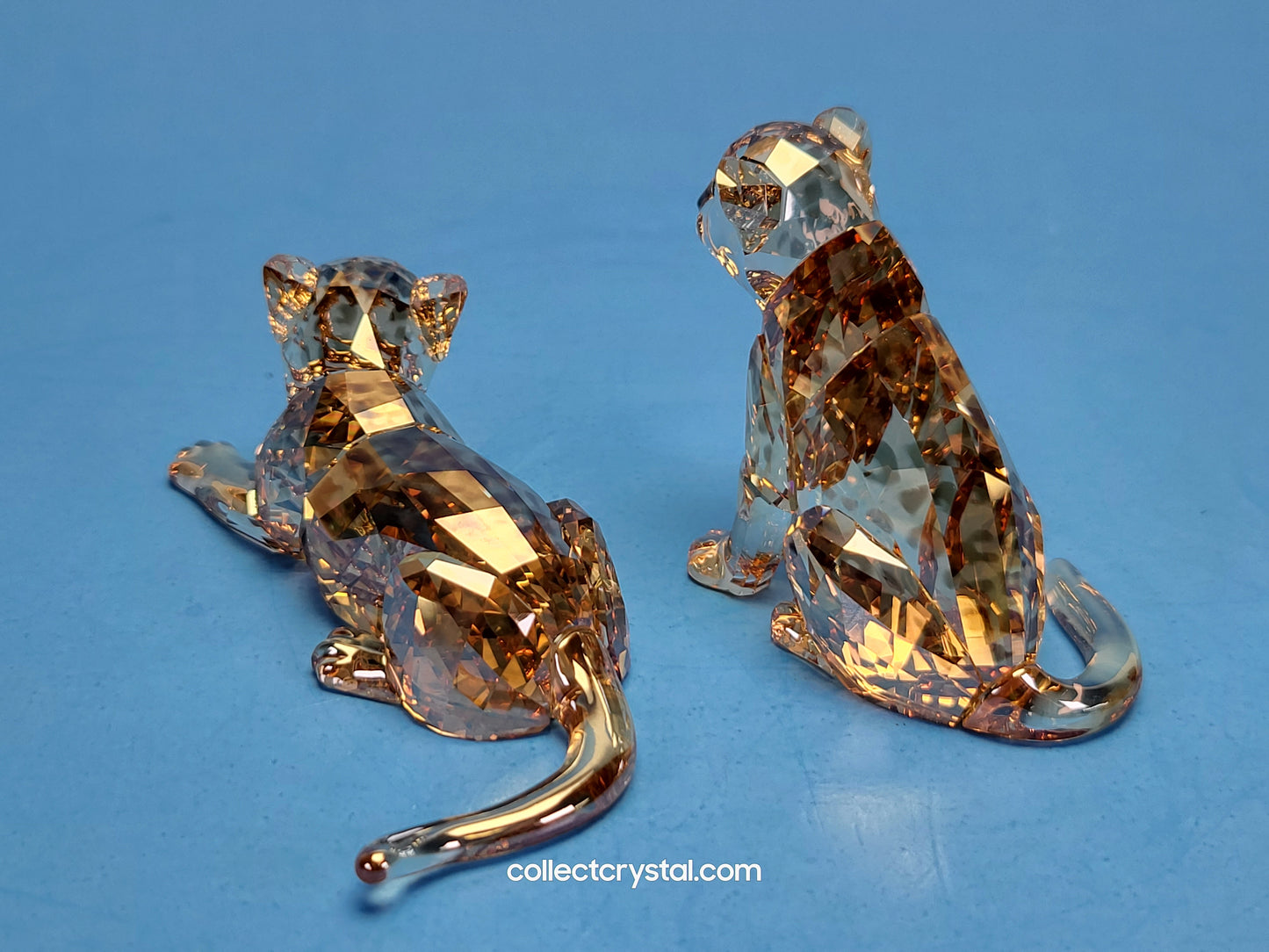AMUR LEOPARD Mother Sofia & Cubs 5428542 2019 ANNUAL EDITION Signed by Designer amur