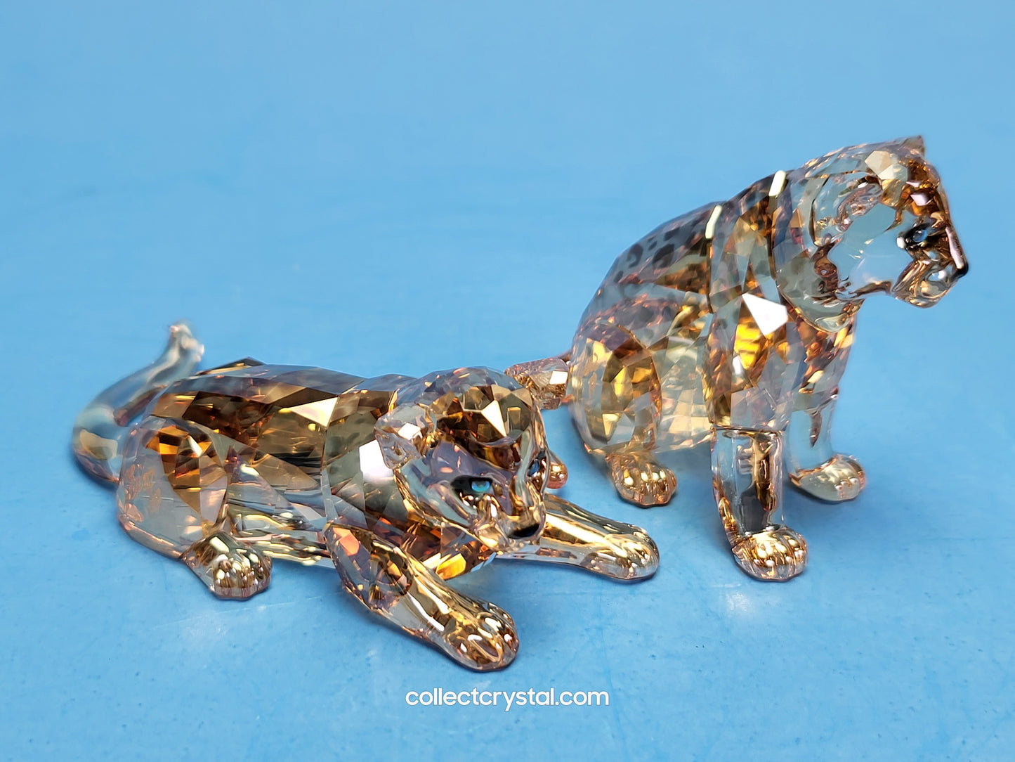 AMUR LEOPARD CUBS 5428542 2019 ANNUAL EDITION amur