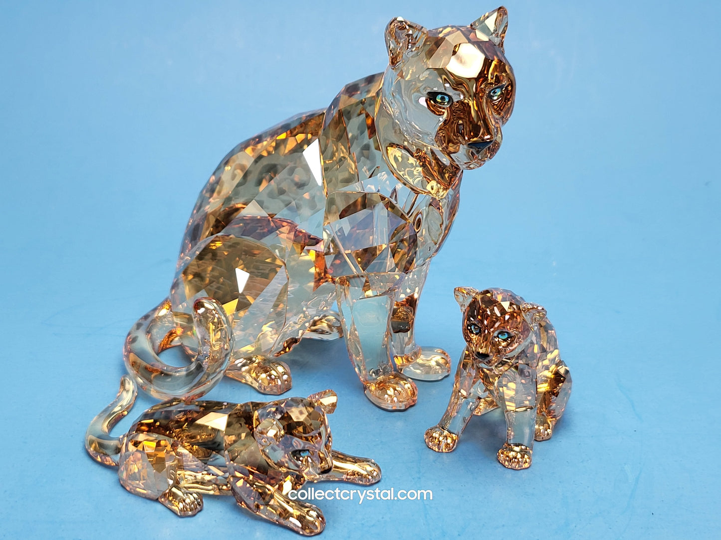 AMUR LEOPARD Mother Sofia 5428542 2019 ANNUAL EDITION amur