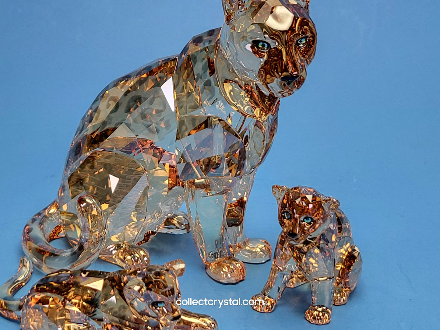 AMUR LEOPARD Mother Sofia 5428542 2019 ANNUAL EDITION amur