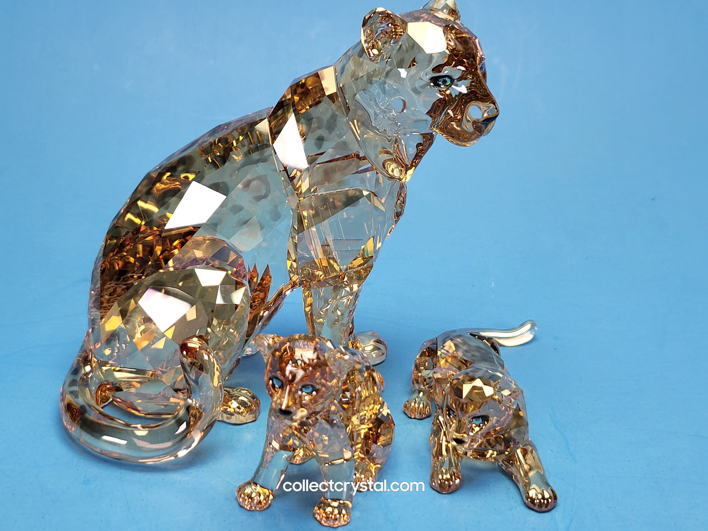 AMUR LEOPARD Mother Sofia 5428542 2019 ANNUAL EDITION amur