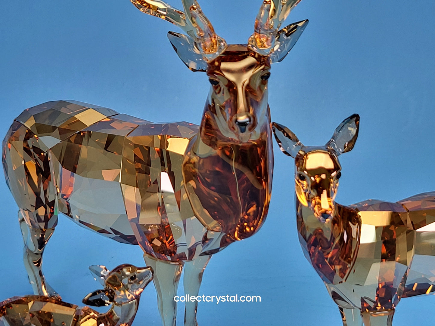 ALEXANDER Baby Fawn Deer 5493978 Signed by Designer 2020 ANNUAL EDITION