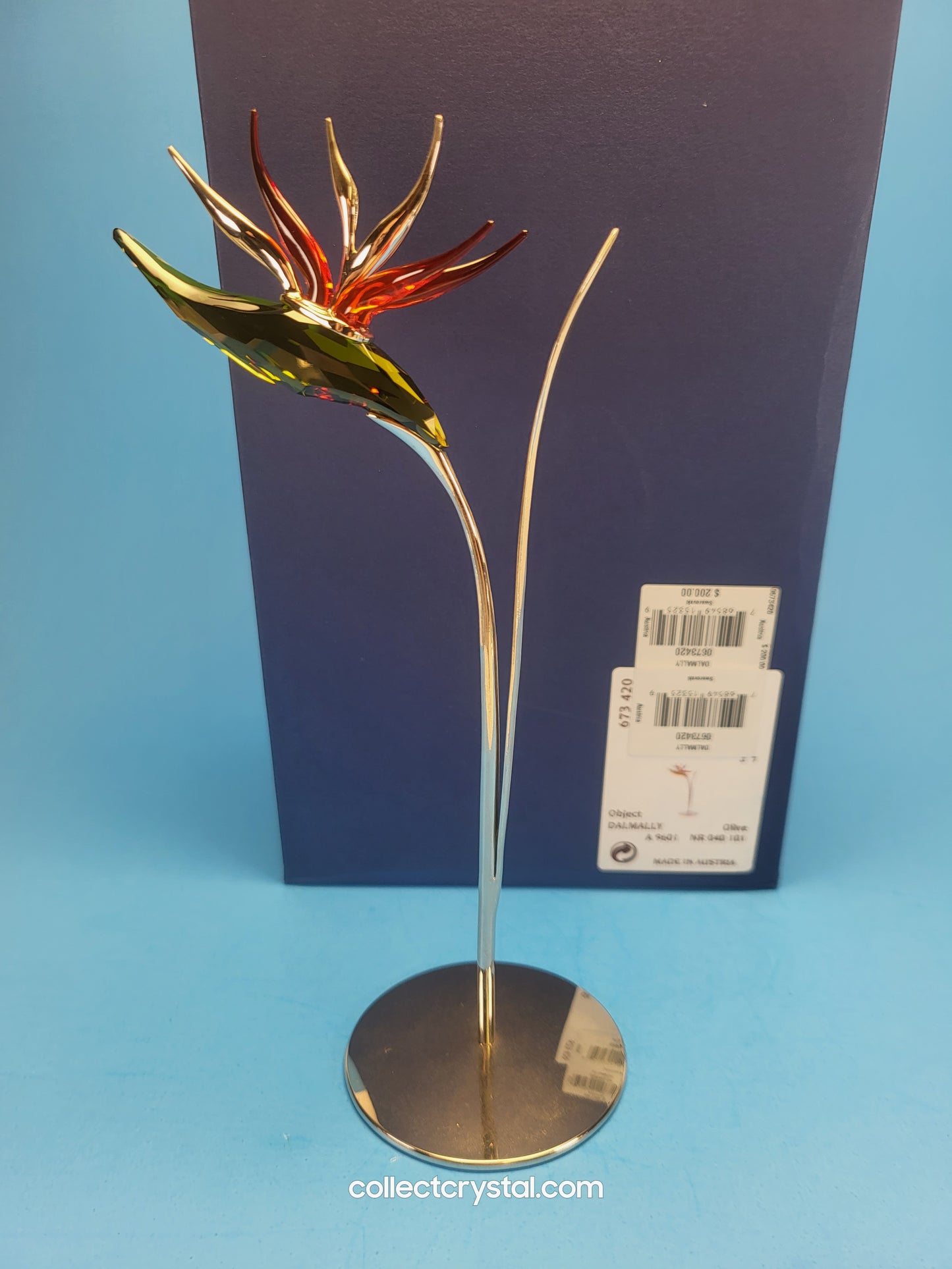 PARADISE FLOWERS – DALMALLY TROPIC SUN 673420