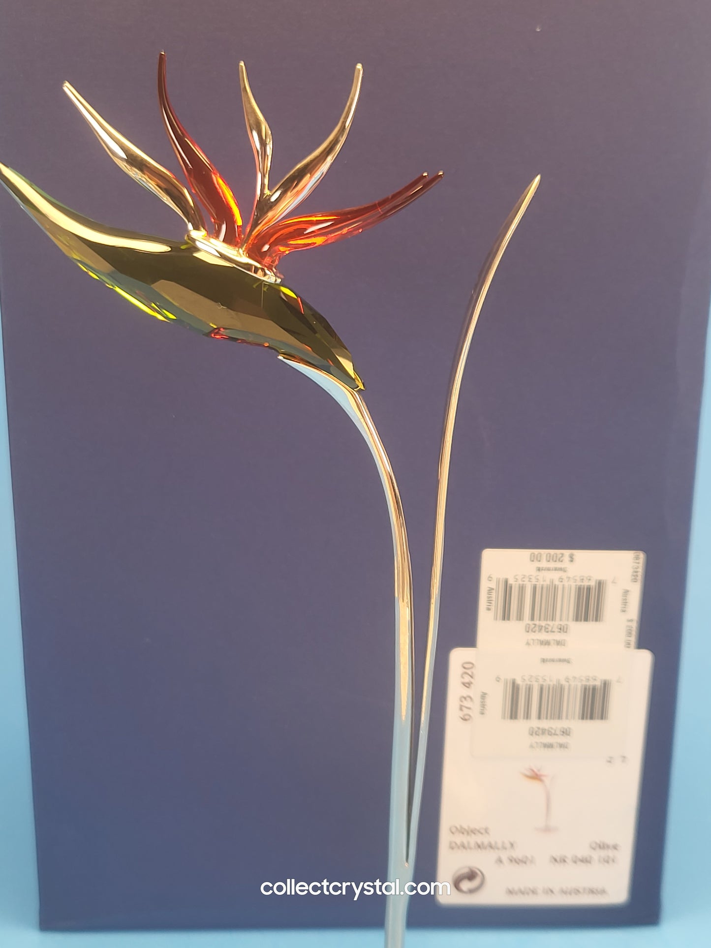 PARADISE FLOWERS – DALMALLY TROPIC SUN 673420