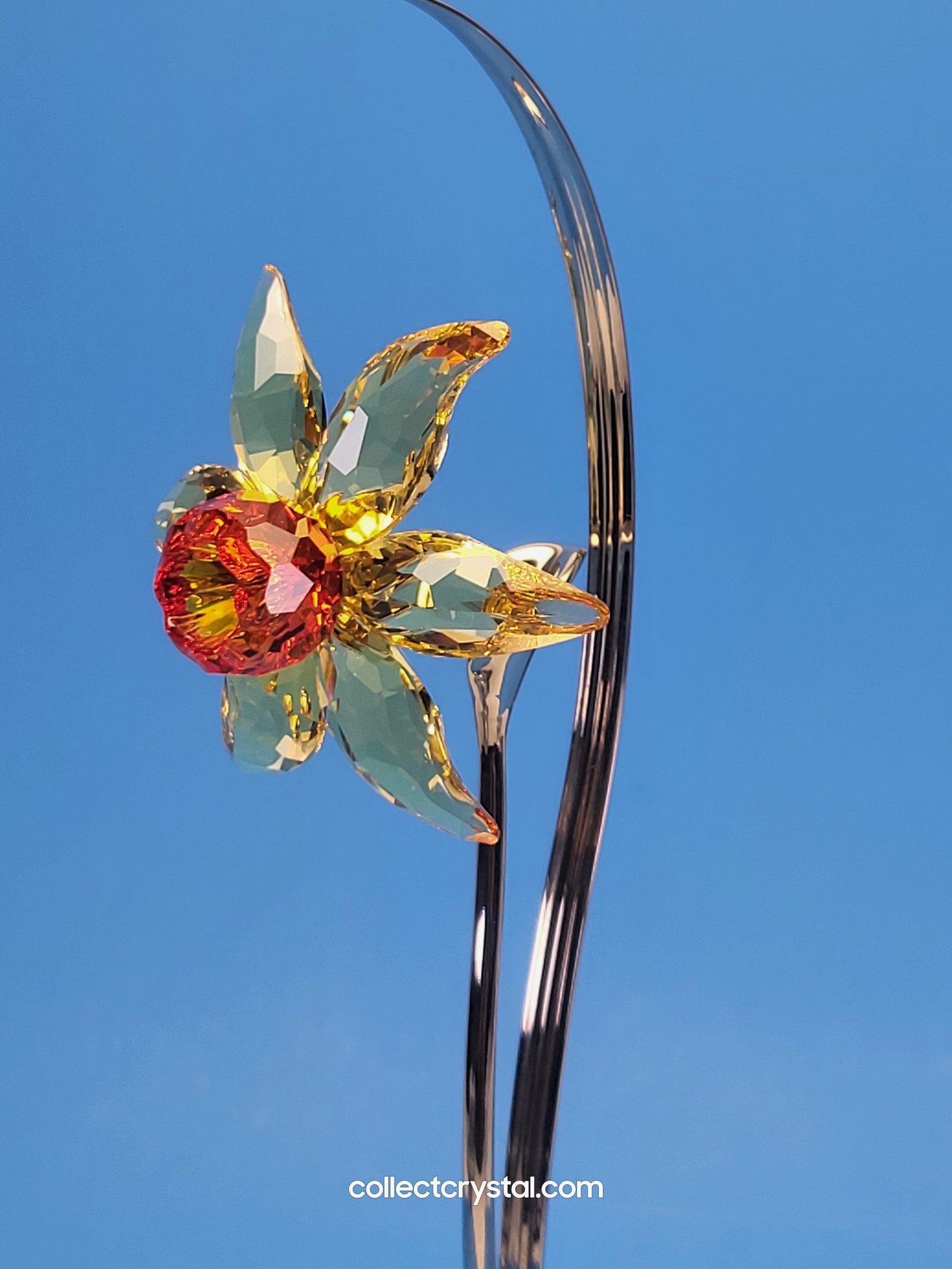 PARADISE FLOWERS – DACALI LIGHT TOPAZ 848448
