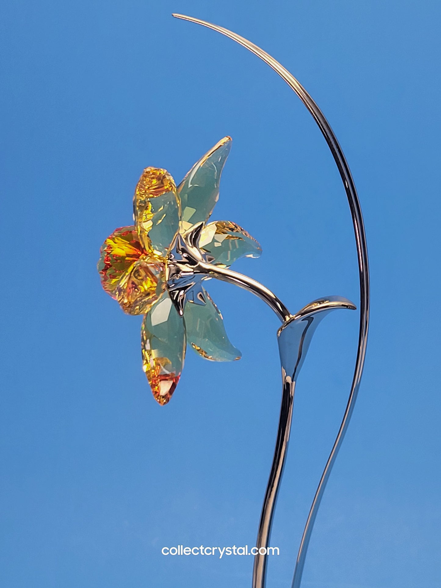PARADISE FLOWERS – DACALI LIGHT TOPAZ 848448