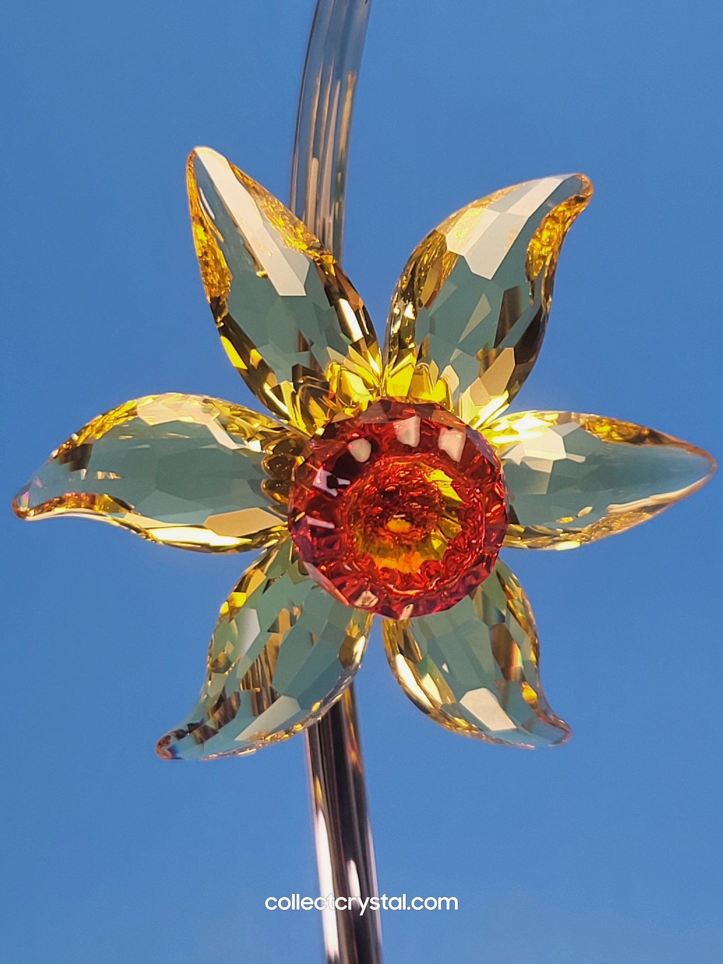 PARADISE FLOWERS – DACALI LIGHT TOPAZ 848448