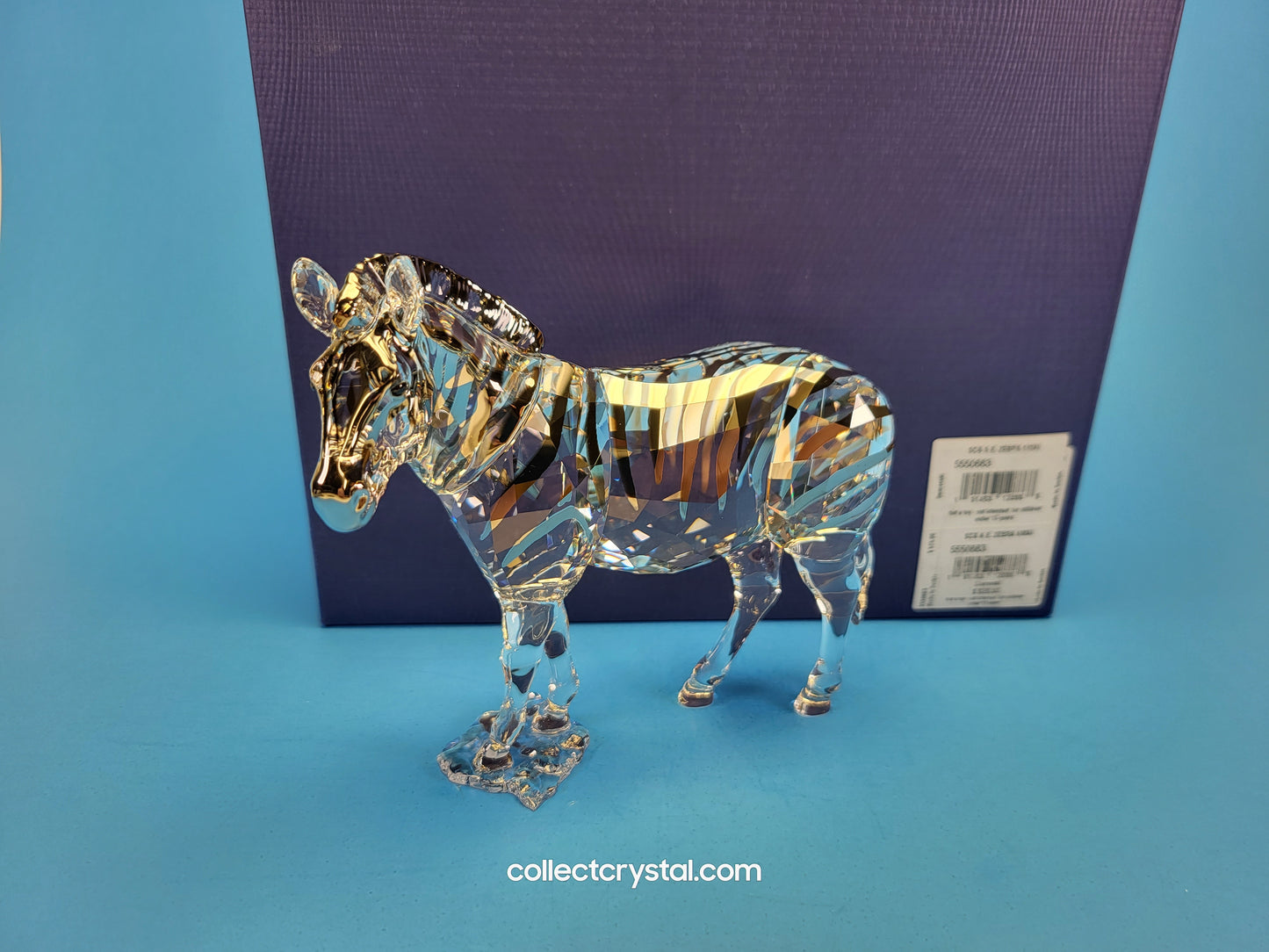 ANNUAL EDITION ELEGANCE OF AFRICA ZEBRA AMAI 5550663
