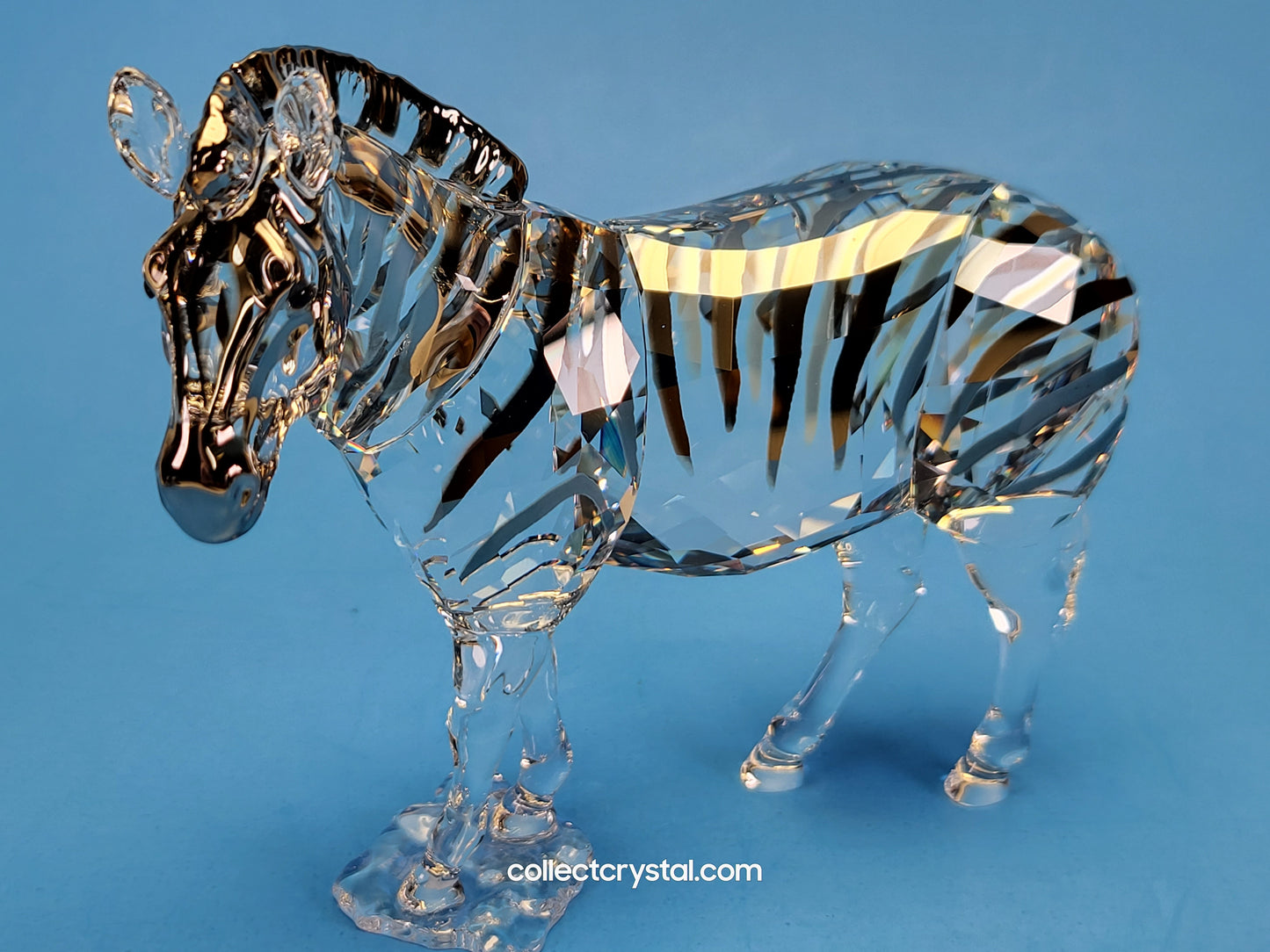 SET of Both ZEBRA AMAI 5550663 & ZEBRA BABY ZURI 5557906