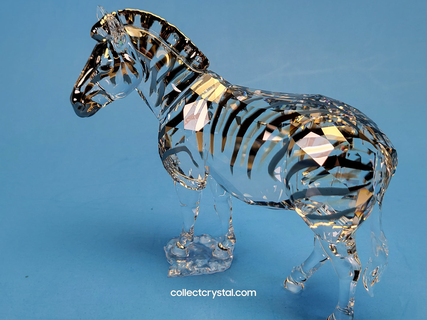 ANNUAL EDITION ELEGANCE OF AFRICA ZEBRA AMAI 5550663