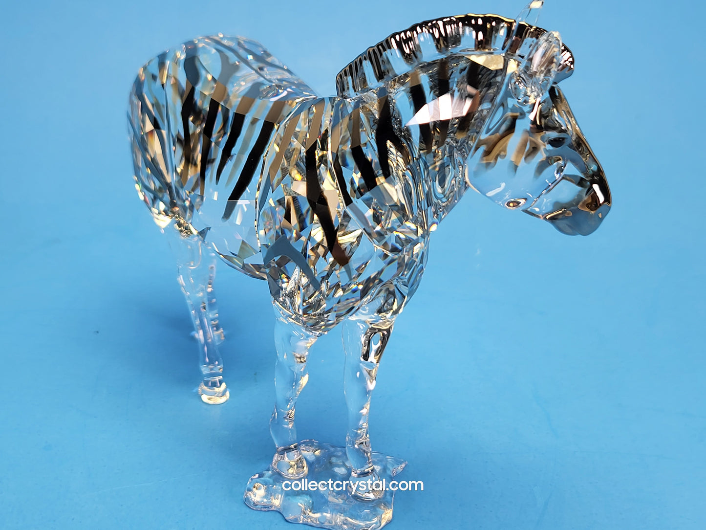 ANNUAL EDITION ELEGANCE OF AFRICA ZEBRA AMAI 5550663