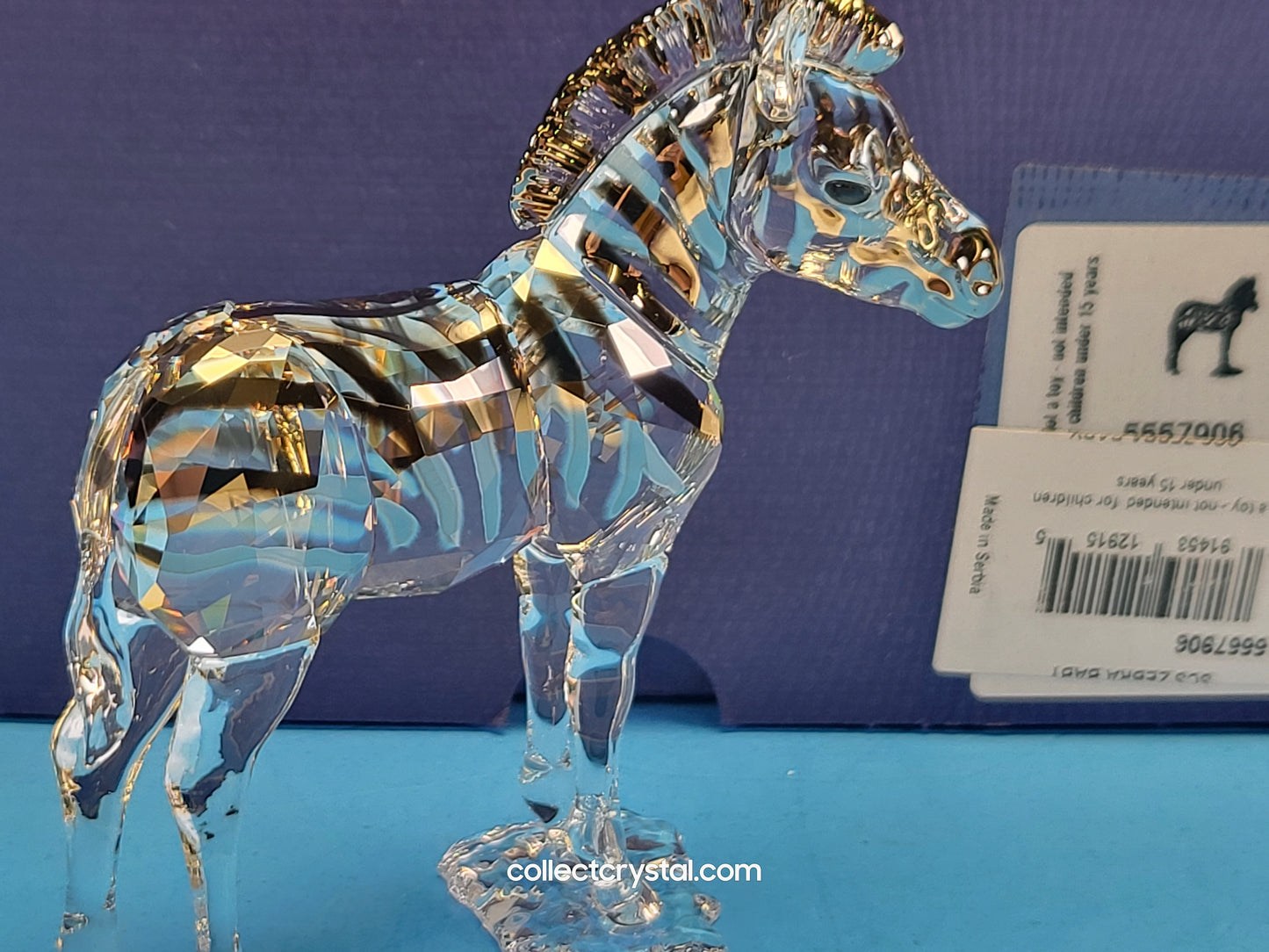 ANNUAL EDITION ELEGANCE OF AFRICA ZEBRA BABY ZURI 5557906