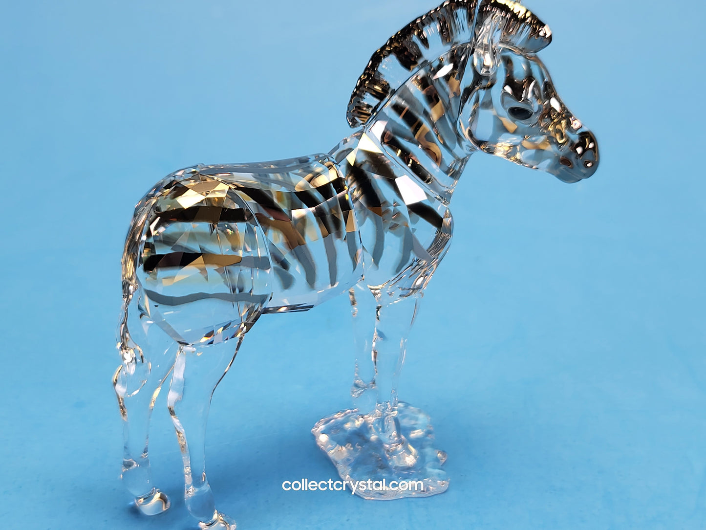 ANNUAL EDITION ELEGANCE OF AFRICA ZEBRA BABY ZURI 5557906