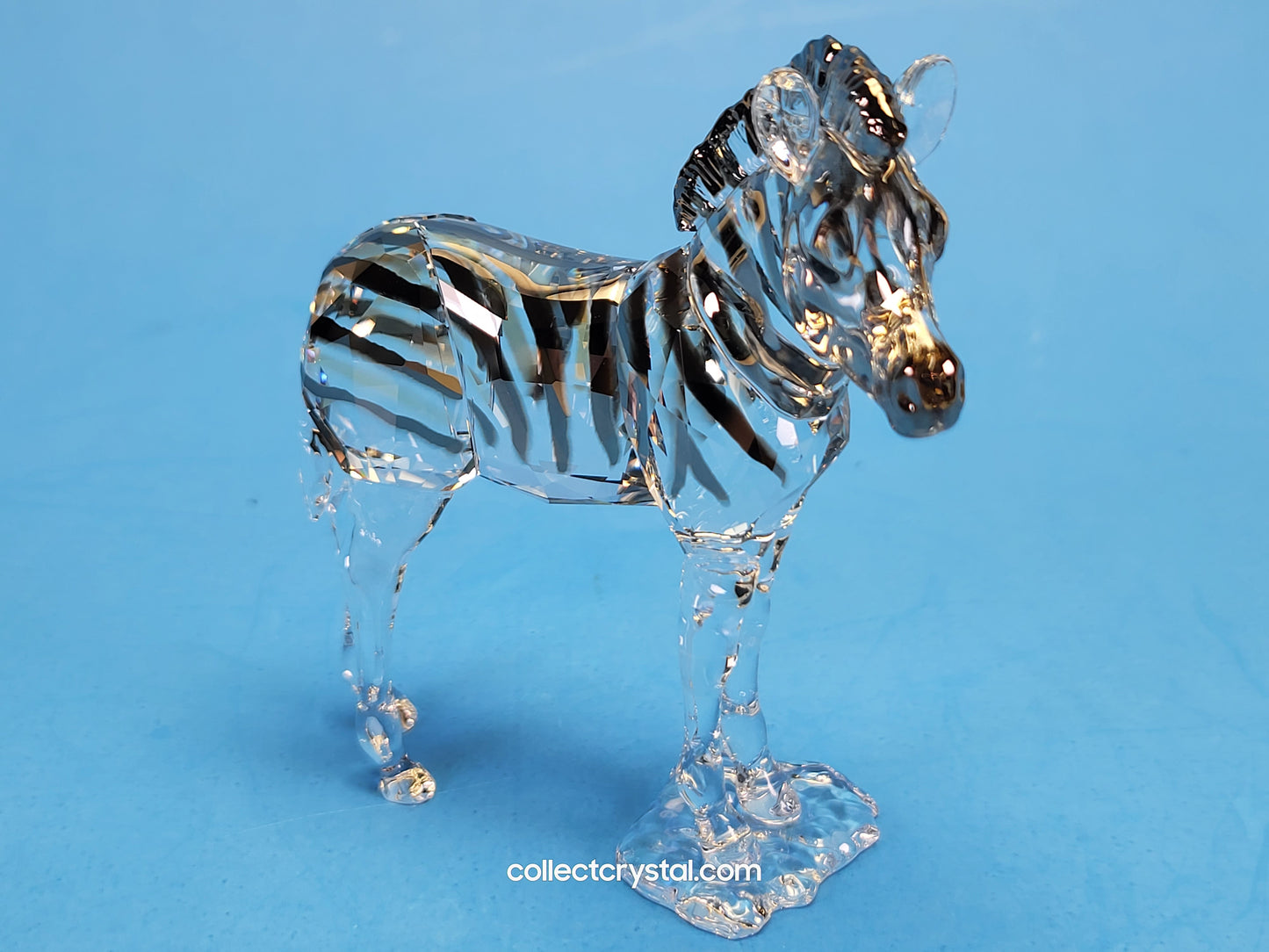 ANNUAL EDITION ELEGANCE OF AFRICA ZEBRA BABY ZURI 5557906