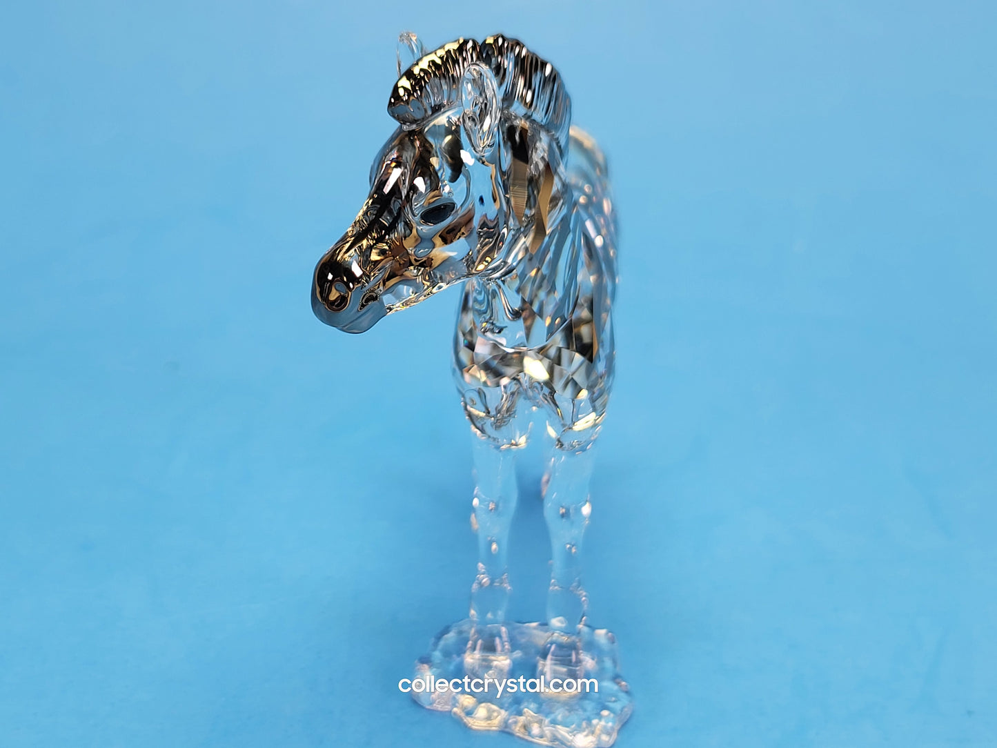 ANNUAL EDITION ELEGANCE OF AFRICA ZEBRA BABY ZURI 5557906