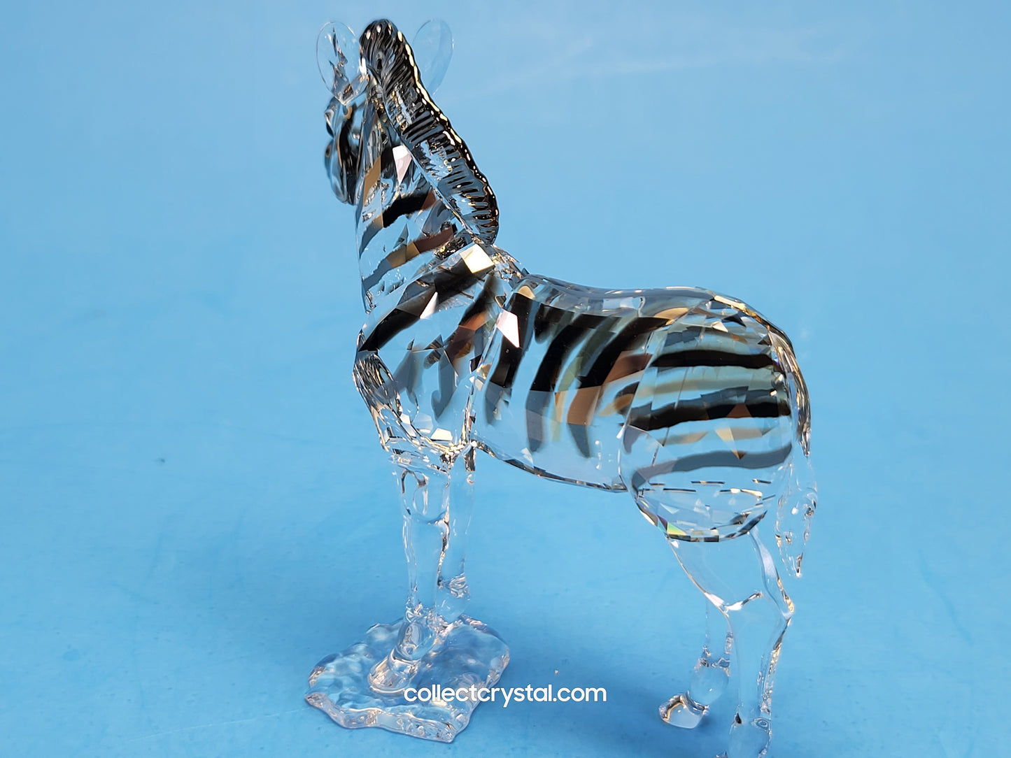 ANNUAL EDITION ELEGANCE OF AFRICA ZEBRA BABY ZURI 5557906
