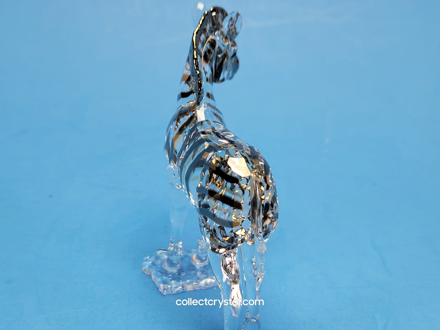 ANNUAL EDITION ELEGANCE OF AFRICA ZEBRA BABY ZURI 5557906