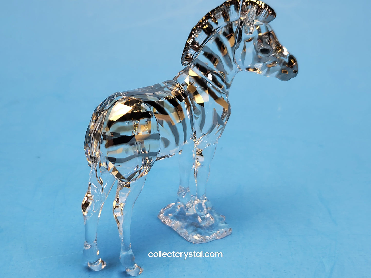 ANNUAL EDITION ELEGANCE OF AFRICA ZEBRA BABY ZURI 5557906