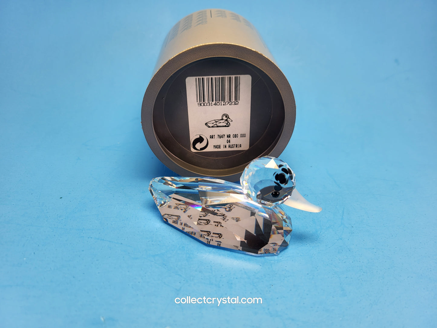 MALLARD DUCK 012723