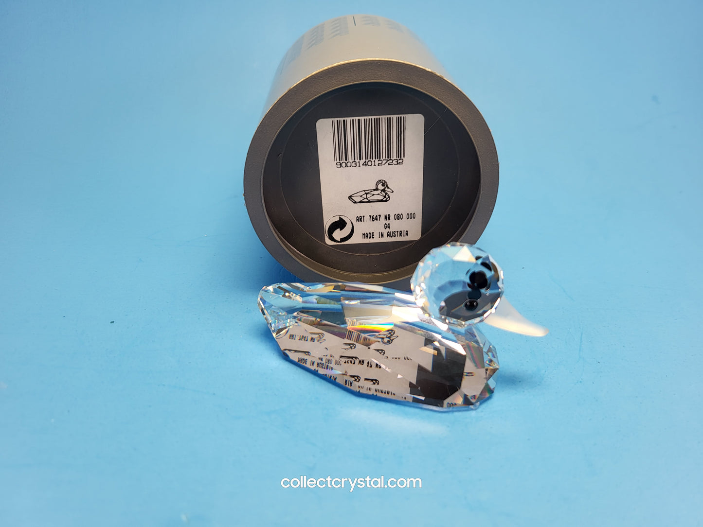 MALLARD DUCK 012723